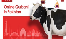 Qurbani Animal